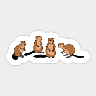 Beavers Sticker